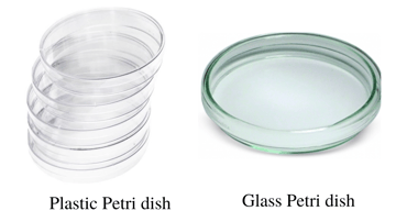 Petri Dish: Types, Uses, Why the Lid Doesn't Seal, and Why Plates Are Incubated Upside Down