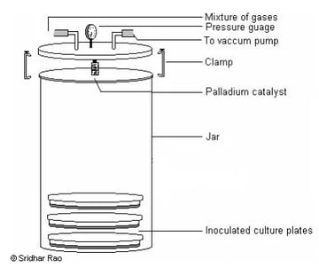 McIntosh and Fildes' Anaerobic Jar: Principle, Procedure, and Uses