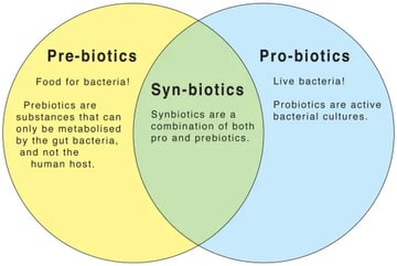 Probiotics and Prebiotics: Definitions, Types, and Benefits