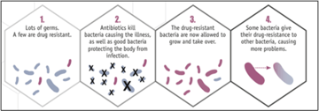 Antibiotic Resistance: Causes, Mechanisms, and Types Explained