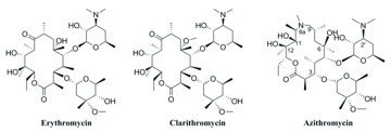 Macrolides: Mode of Action, Mechanism of Resistance