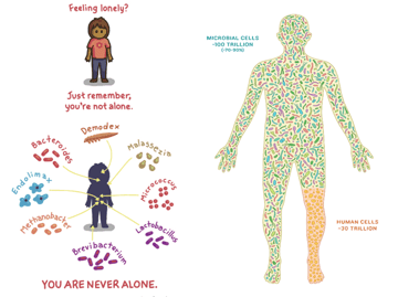 25 Microbiology Facts Every Medical Student Should Know