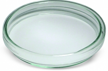 Glassware Used in Laboratory