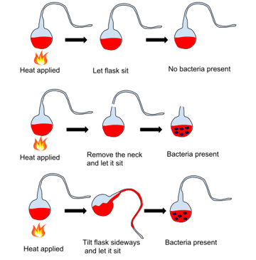 The Germ Theory of Disease: Experiments, and Applications