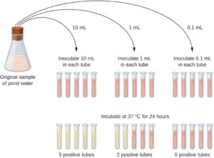 Most Probable Number (MPN) Test: Principle, Procedure, MPN Table, and Results