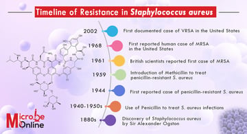 MRSA: Resistance Mechanism, Types, Detection, and Timeline