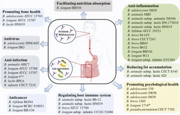Which Probiotics to Use?