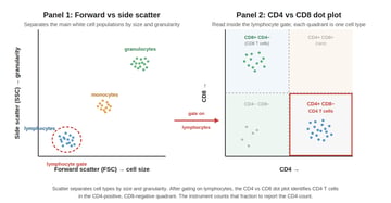 Flow Cytometry: Principle, Procedure, and Interpretation