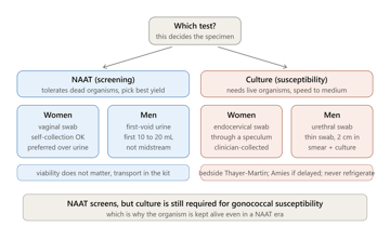 Genital and STI Specimens: Collection, Transport and Lab Diagnosis