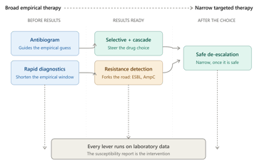 Antimicrobial Stewardship and the Microbiology Laboratory: How Bench Decisions Shape Prescribing