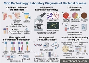 MCQs Bacteriology (21-30): Lab Diagnosis of Bacterial Disease