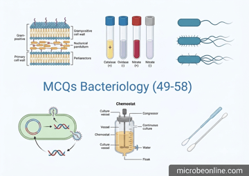 MCQ Bacteriology (51-60): Question with Answers