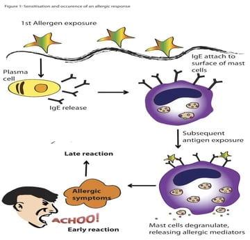 Hypersensitivity Type I: Mechanism and Clinical Manifestation