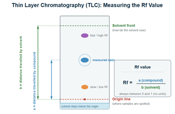 Thin Layer Chromatography (TLC): Principle, Procedure, and Applications