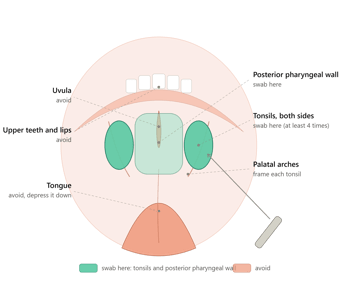 Throat Swab: Collection, Transport, and Lab Diagnosis