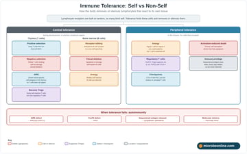 Immune Tolerance: How We Recognize Self from Non-Self