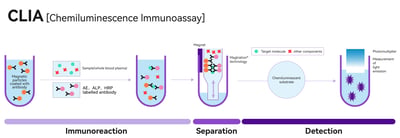 Chemiluminescence Immunoassay (CLIA): Principle, Procedure, and Interpretation