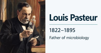 Louis Pasteur: Contributions and the Father of Microbiology