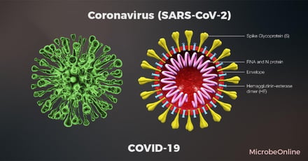 SARS-CoV-2 Diagnostics: RT-PCR, Antigen Testing, and Serology — Principles and Interpretation