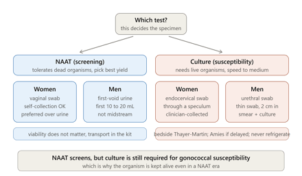 Genital and STI Specimens: Collection, Transport and Lab Diagnosis