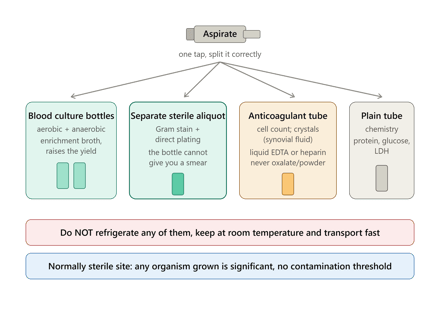 Sterile Body Fluids: Collection and Transport (Pleural, Peritoneal, Pericardial, Synovial)