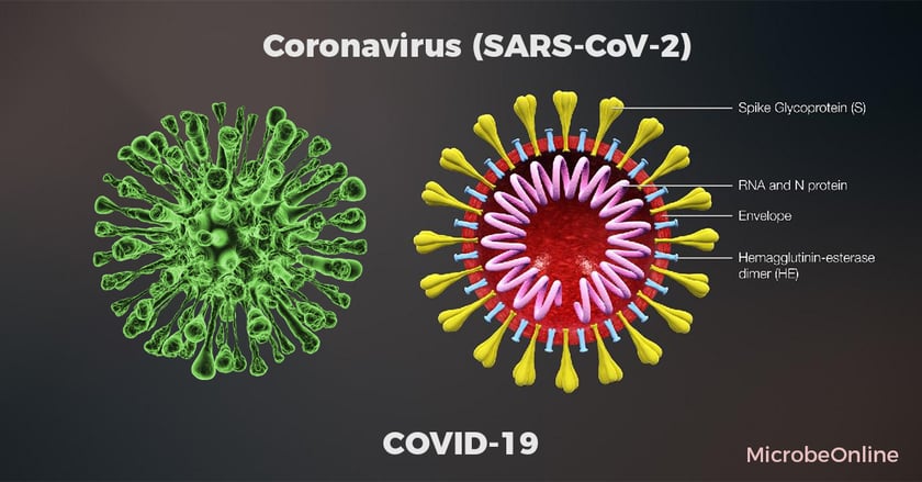 SARS-CoV-2 Diagnostics: RT-PCR, Antigen Testing, and Serology — Principles and Interpretation