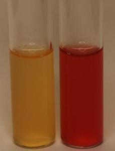 Methy Red Test Left: Negative Right: Positive