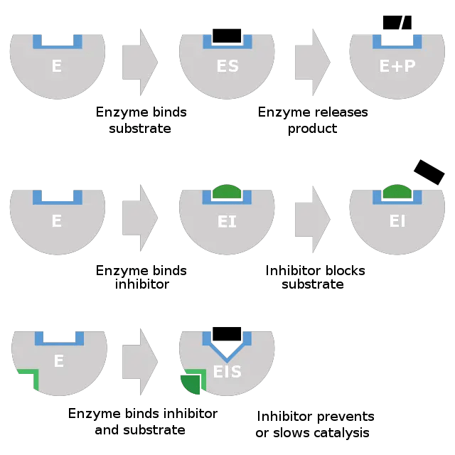 Enzyme inhibitors