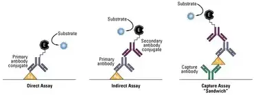 Elisa Test Principle Materials Procedure And Results Learn Microbiology Online