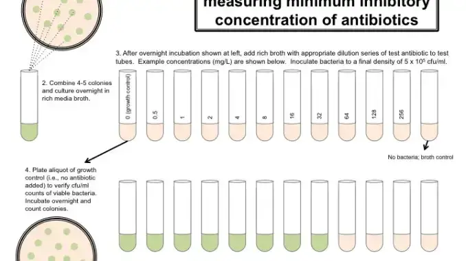 Broth Dilution Method For Mic Determination Learn Microbiology Online