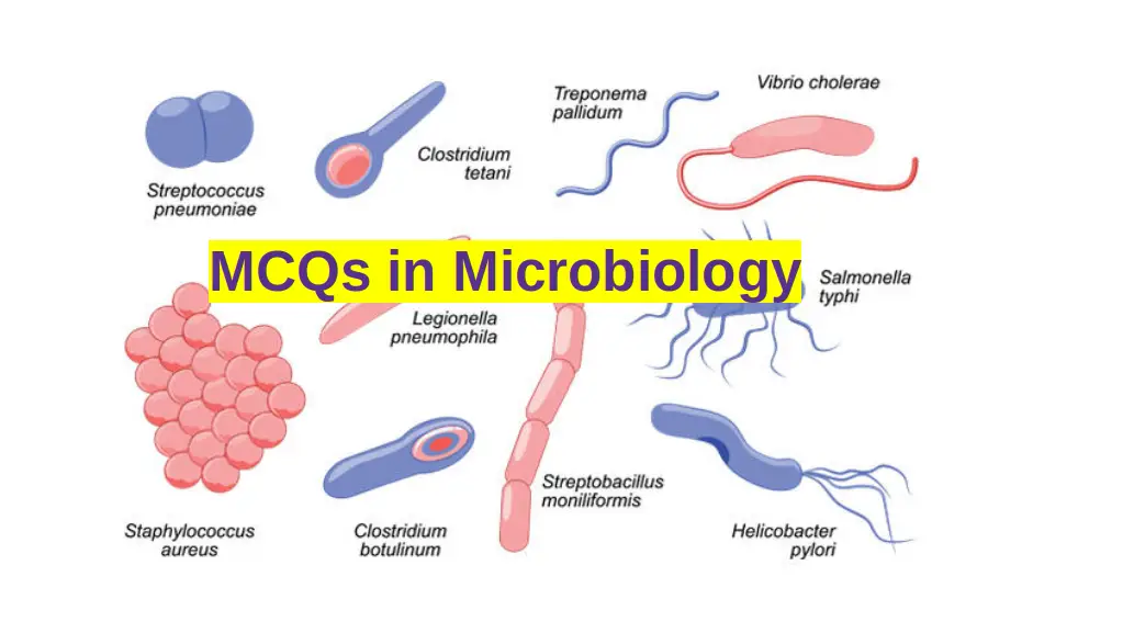 MCQs: General Microbiology with Answer Keys