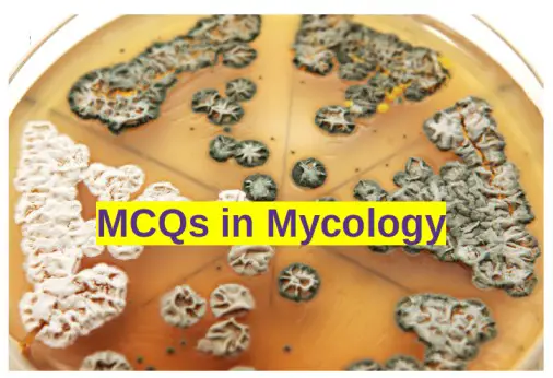 MCQs Mycology with Answers