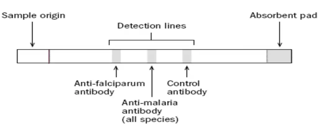 RDTs for lab diagnosis of Malaria