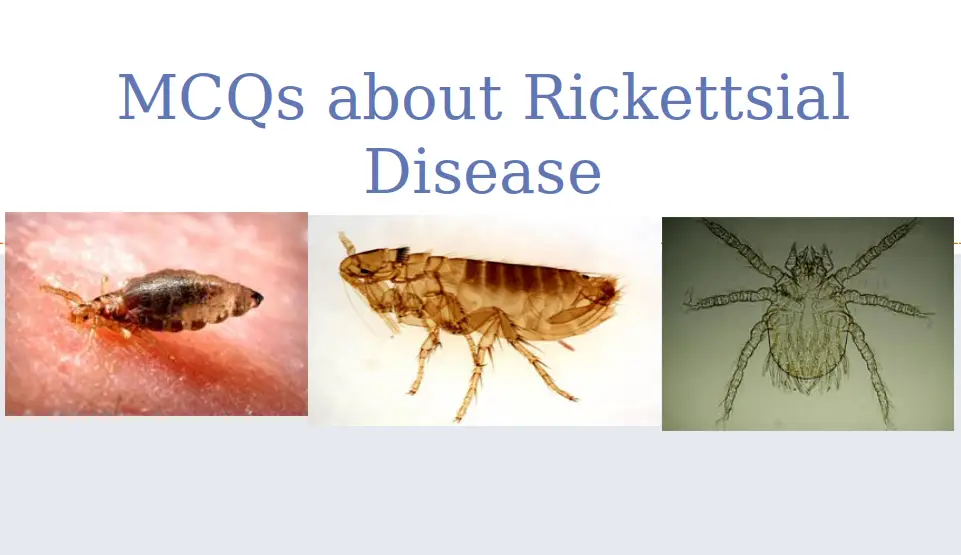 Top Ten MCQs about Rickettsial Disease