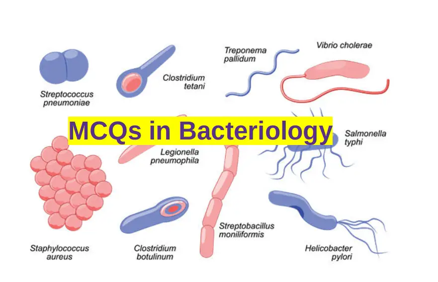 MCQ Bacteriology (31-40): Bacterial Infections