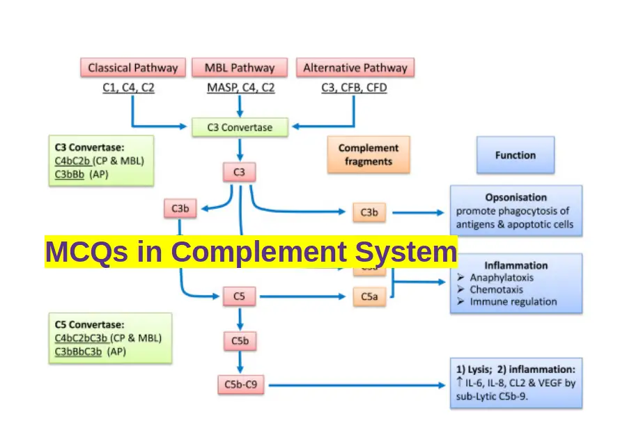 Complement Components In Immunology