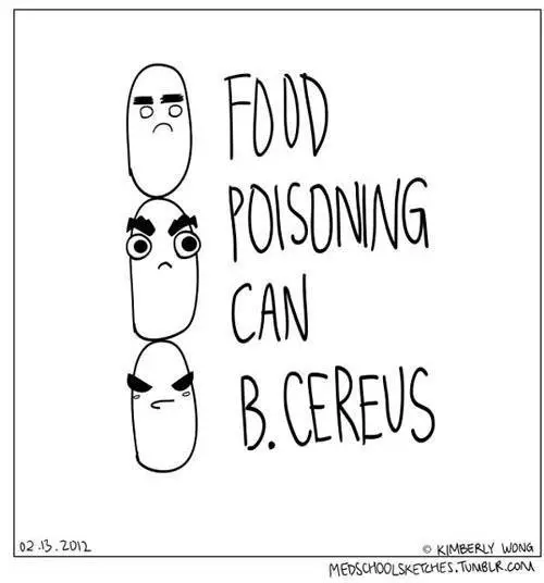 Foodborne illness, food poisoning and causative agents of foodborne