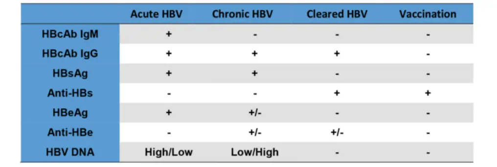 Hepatitis B Serology Test Result Interpretation