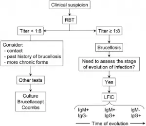Proposed use of RBT in the diagnosis of human brucellosis and complementary tests