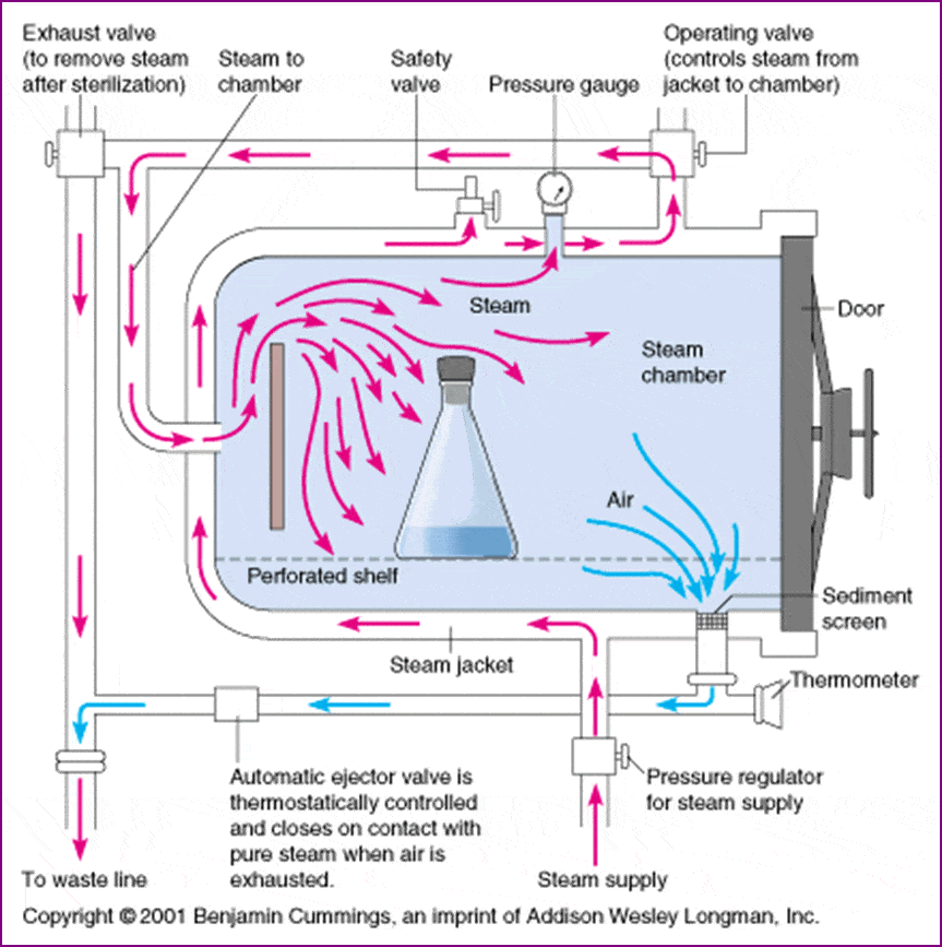 Autoclave Sterilization Principle, Procedure, Types, Uses • Microbe Online