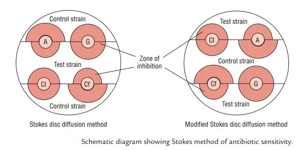 Stokes disc diffusion method