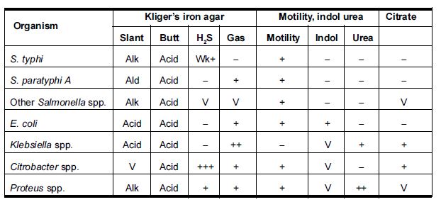 Biochemical test for Salmonella