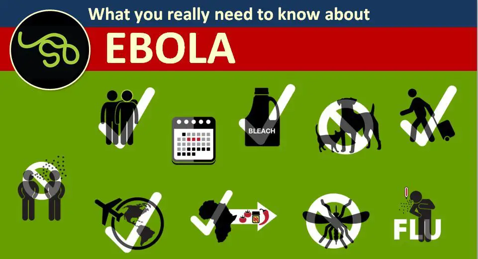 Seven Important Facts about Ebola Virus Disease