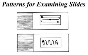 Patterns for Examining the slide