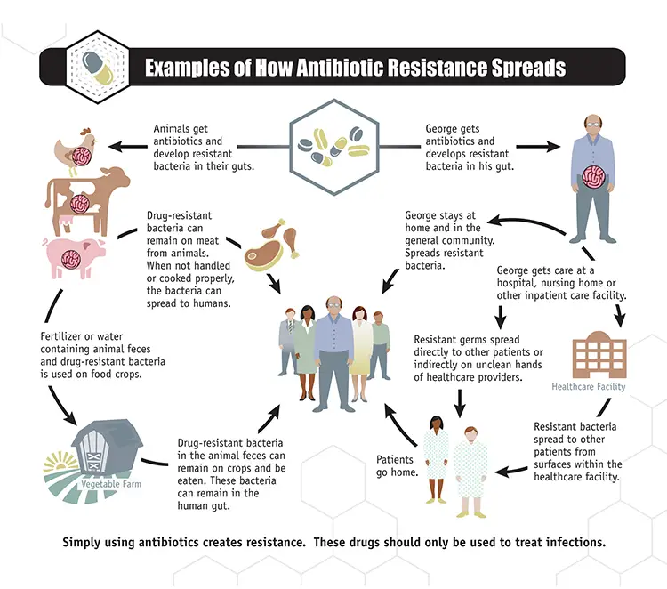 Spread of antibiotics resistance