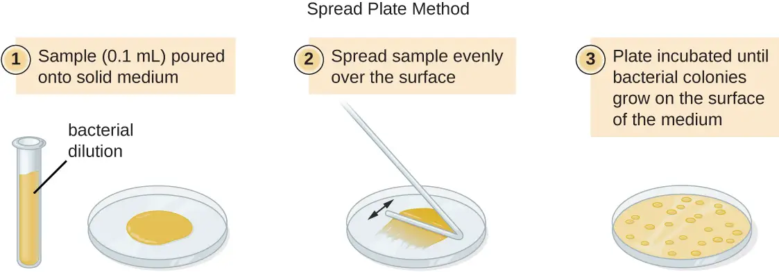 advantages and disadvantages of the serial dilution agar plate technique