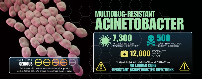 Acinetobacter: Disease, Properties, Resistance