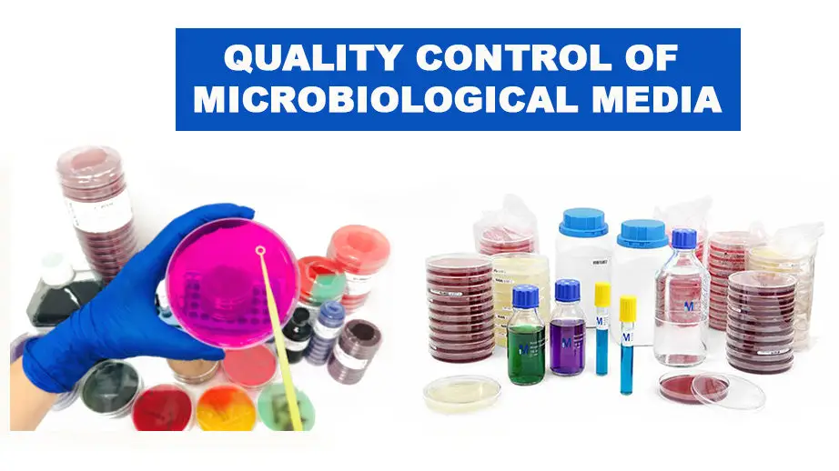 Quality Control of Culture Media • Microbe Online