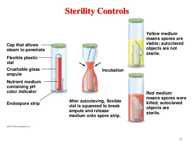 Autoclave: Sterilization Principle, Procedure, Types, Uses • Microbe Online