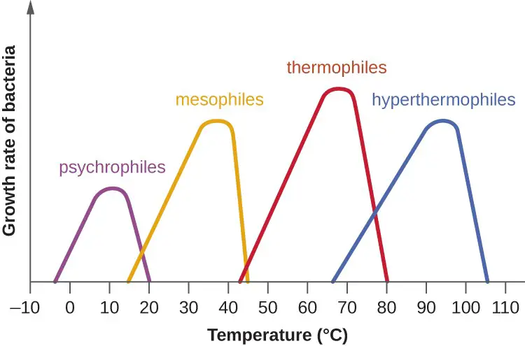 Psychrophiles, Mesophiles, Thermophiles